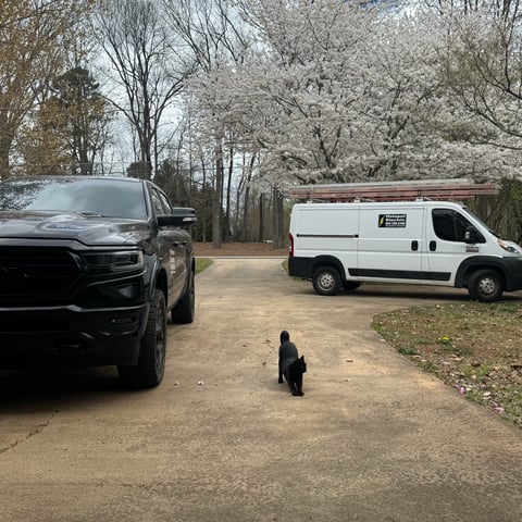 Small black dog standing on a gravel driveway between a black SUV and white work van, with bare trees in the background